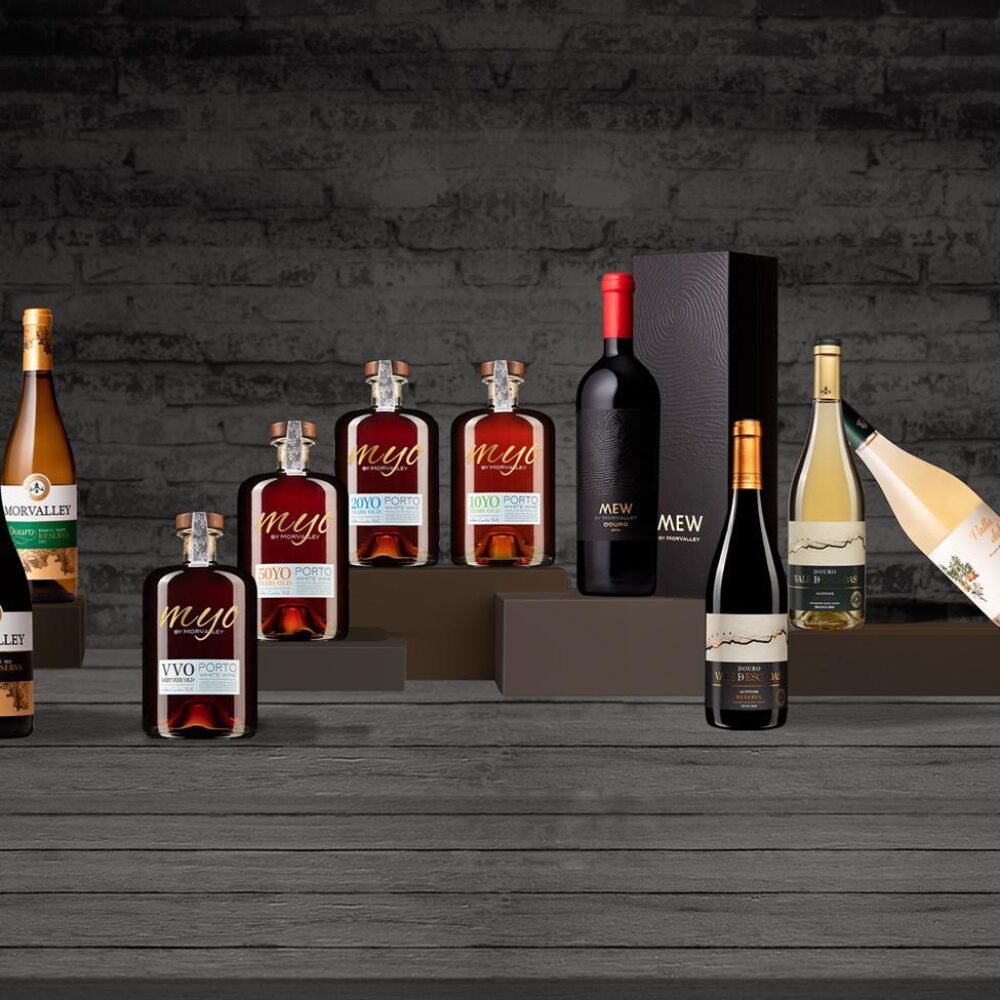 banner-novo-morvalley