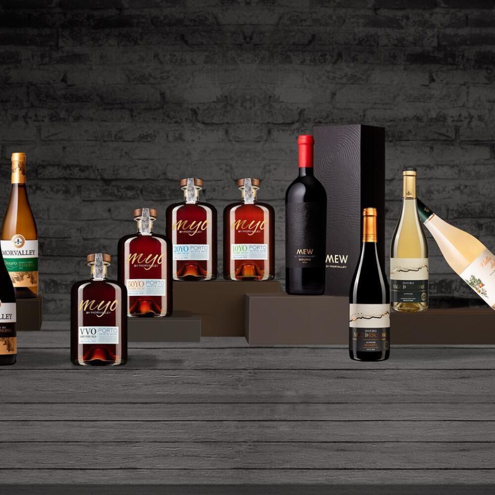 banner-novo-morvalley